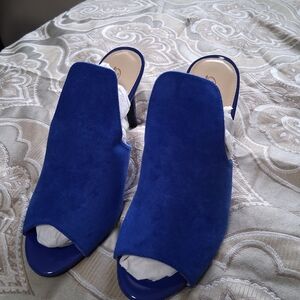 Women’s Royal Blue Suede Open-Toe Mule Heels